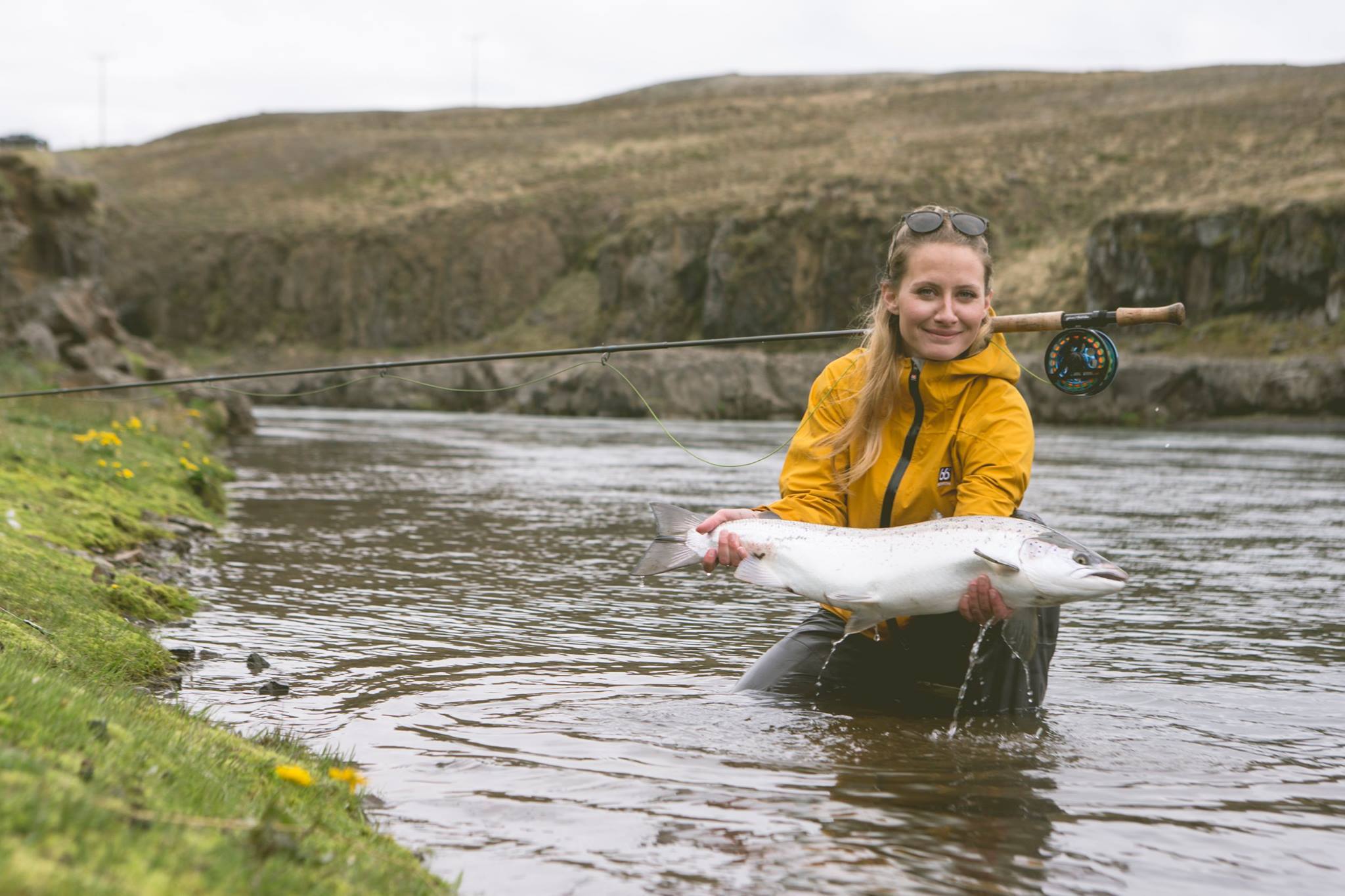 13329562_10153682693702205_7292033656662761801_o