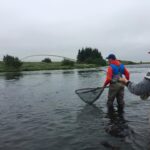 13507125_10209878842911498_4774850330109354812_n