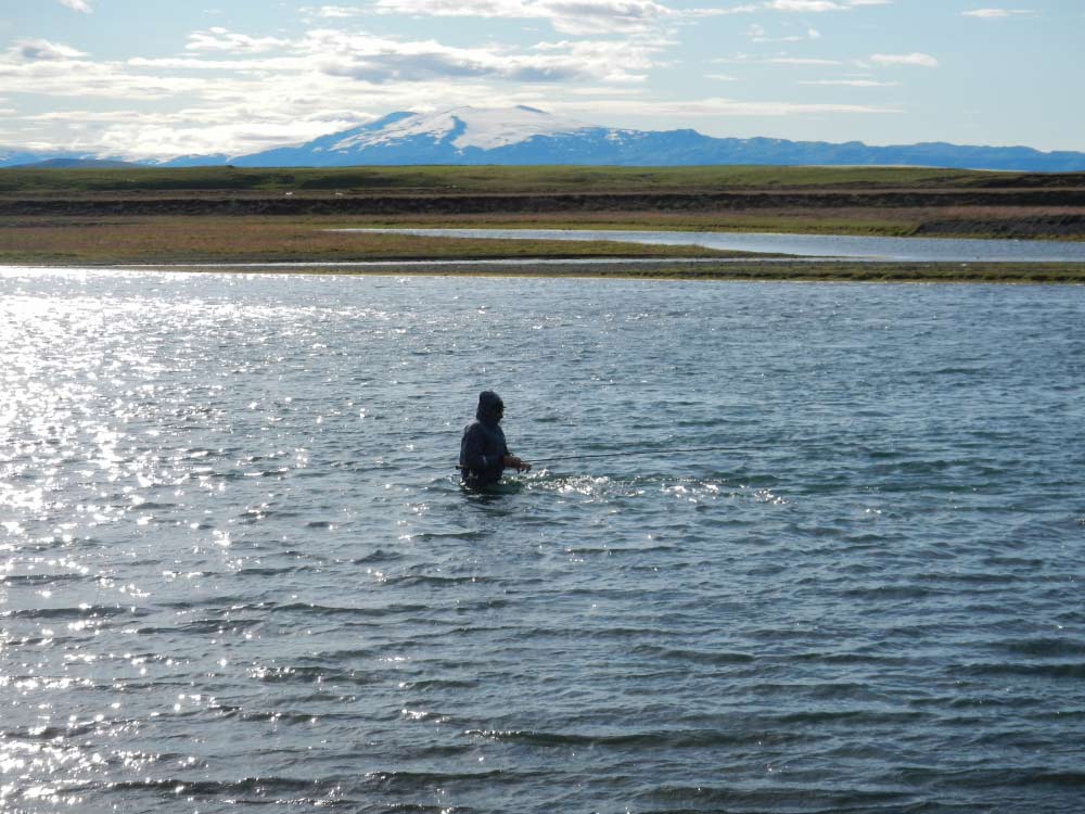 IslandLachsangeln-01