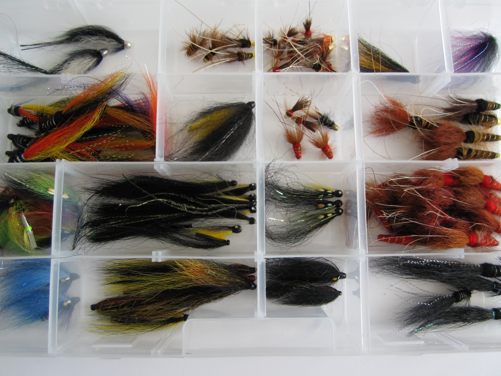 IslandLachsangeln-03