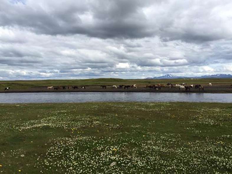 Unendliche Weiten Fischen mit Vulkanpanorama