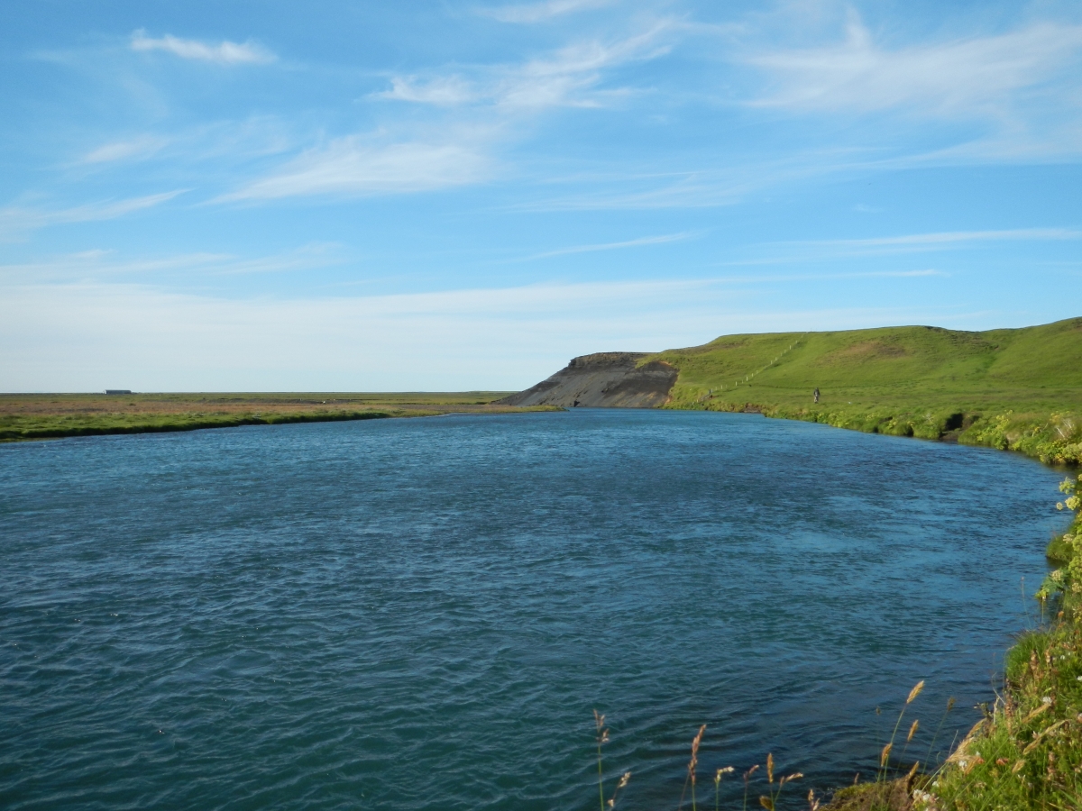 salmon-fishing-iceland-2015_2